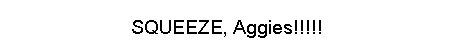 squeezeags.gif (8713 bytes)